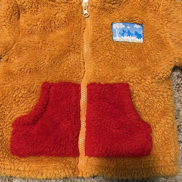 BNWOT exclusive unisex toddler 2T Disney Winnie the Pooh cozy zip-up hoodie - Picture 3 of 8
